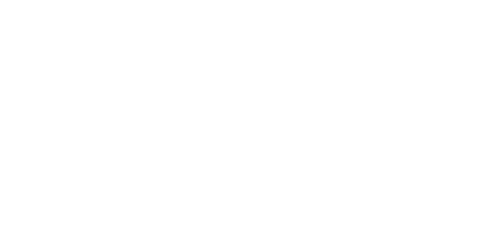 Medway Borough Council
